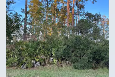 171 Ryberry Drive, Palm Coast, FL 32164 - Photo 1