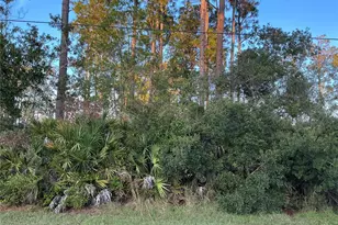 171 Ryberry Dr, Palm Coast, FL 32164 - Photo 1