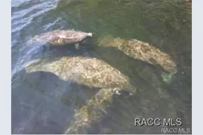 223 S Lincoln Avenue, Beverly Hills, FL 34465 - Photo 63