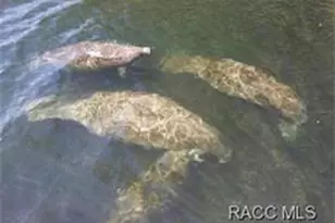 223 S Lincoln Ave, Beverly Hills, FL 34465 - Photo 63