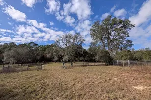 13260 SW 97th Pl, Dunnellon, FL 34432 - Photo 35