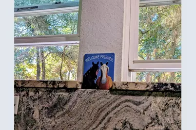 13260 SW 97th Place, Dunnellon, FL 34432 - Photo 57