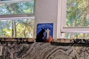 13260 SW 97th Pl, Dunnellon, FL 34432 - Photo 57