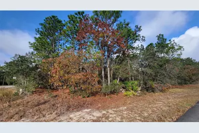 4312 N Deckwood Drive, Beverly Hills, FL 34465 - Photo 3