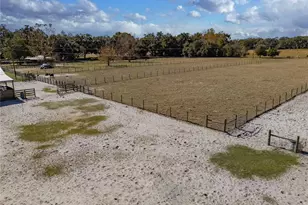 17885 NE 2nd Pl, Williston, FL 32696 - Photo 53