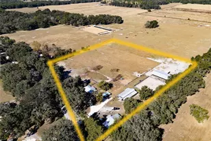 17885 NE 2nd Pl, Williston, FL 32696 - Photo 3