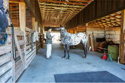 17885 NE 2nd Place, Williston, FL 32696 - Photo 43