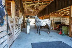 17885 NE 2nd Pl, Williston, FL 32696 - Photo 43