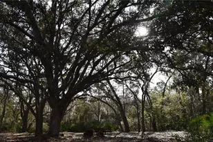 81 Clouds Ave, Interlachen, FL 32148 - Photo 1