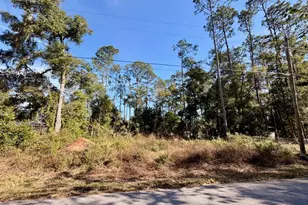 00 NW 111 Ct, Ocala, FL 34482 - Photo 1