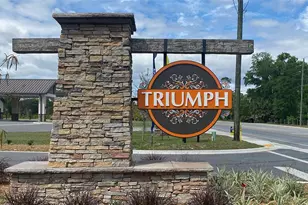 8713 Triumph Cir, Wildwood, FL 34785 - Photo 11