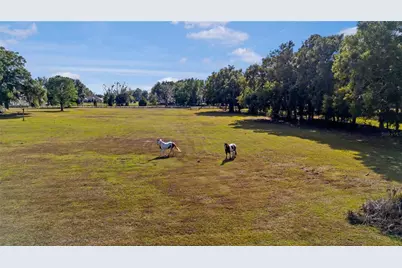 16421 W Highway 326, Morriston, FL 32668 - Photo 9