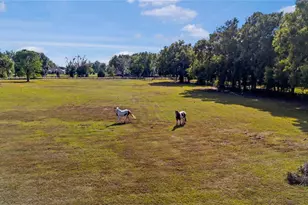 16421 W Hwy 326, Morriston, FL 32668 - Photo 9