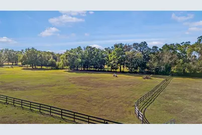 16421 W Highway 326, Morriston, FL 32668 - Photo 7