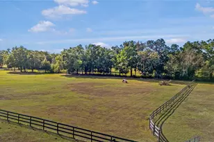 16421 W Hwy 326, Morriston, FL 32668 - Photo 7