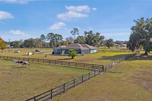 16421 W Hwy 326, Morriston, FL 32668 - Photo 11