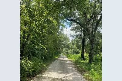 Nw 115th Avenue, Reddick, FL 32686 - Photo 5