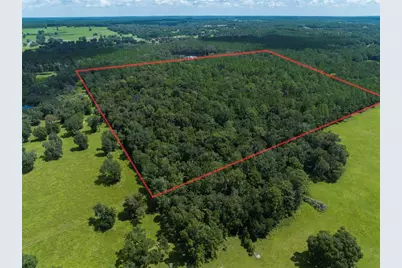 Nw 115th Avenue, Reddick, FL 32686 - Photo 9