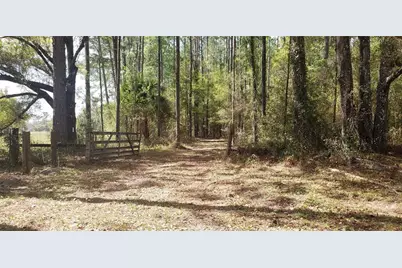 Nw 115th Avenue, Reddick, FL 32686 - Photo 1