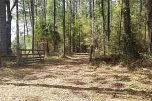 NW 115th Ave, Reddick, FL 32686 - Photo 1