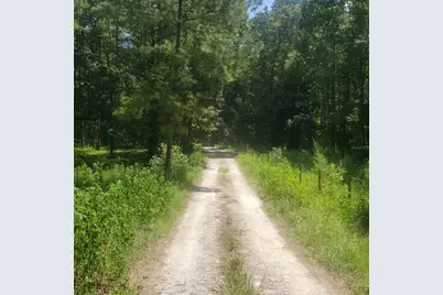 Nw 115th Avenue, Reddick, FL 32686 - Photo 5