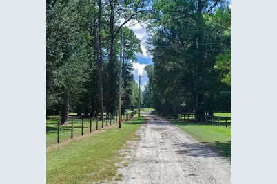 Nw 115th Avenue, Reddick, FL 32686 - Photo 3