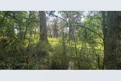 Nw 115th Avenue, Reddick, FL 32686 - Photo 7