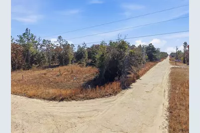 00 NE 150th Ave, Williston, FL 32696 - Photo 15