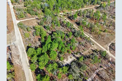 00 NE 150th Ave, Williston, FL 32696 - Photo 11