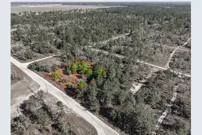 00 NE 150th Ave, Williston, FL 32696 - Photo 1