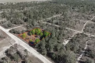 00 NE 150th Ave, Williston, FL 32696 - Photo 1