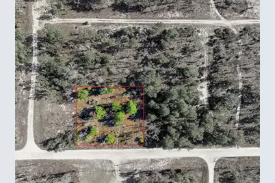 00 NE 150th Ave, Williston, FL 32696 - Photo 3