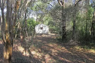 00 SW Marine Blvd, Dunnellon, FL 34431 - Photo 1