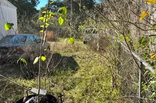 3533 NE 59th Terrace, Silver Springs, FL 34488 - Photo 5