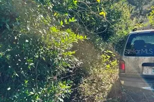 3533 NE 59th Terrace, Silver Springs, FL 34488 - Photo 7