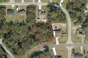 Tbd Lot 17 Olive Rd, Ocala, FL 34472 - Photo 1