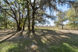 10931 NE 95 St, Archer, FL 32618 - Photo 29