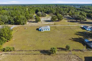 10758 SE Hwy 464C, Ocklawaha, FL 32179 - Photo 25