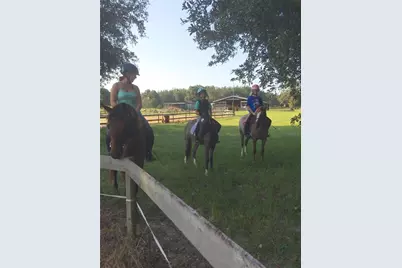 11375 N Circle M Avenue, Dunnellon, FL 34433 - Photo 49