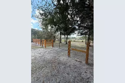Tbd NE 152nd Lane, Salt Springs, FL 32134 - Photo 5