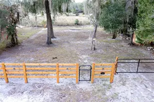 Tbd NE 152nd Ln, Salt Springs, FL 32134 - Photo 1