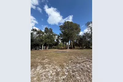 Tbd NE 152nd Lane, Salt Springs, FL 32134 - Photo 13