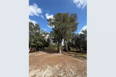 Tbd NE 152nd Lane, Salt Springs, FL 32134 - Photo 15
