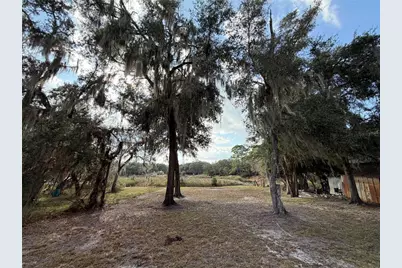 Tbd NE 152nd Lane, Salt Springs, FL 32134 - Photo 5