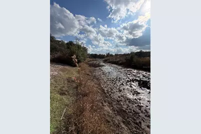 Tbd NE 152nd Lane, Salt Springs, FL 32134 - Photo 7