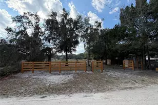 Tbd NE 152nd Ln, Salt Springs, FL 32134 - Photo 1