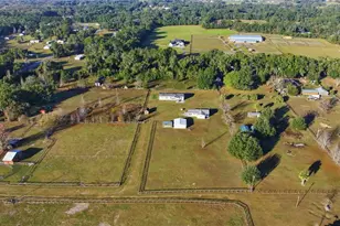 3115 W Hwy 329, Reddick, FL 32686 - Photo 3