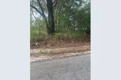 Tbd Dogwood Trail Place, Ocala, FL 34472 - Photo 3