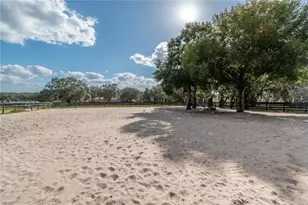 2902 Marion County Rd, Weirsdale, FL 32195 - Photo 73