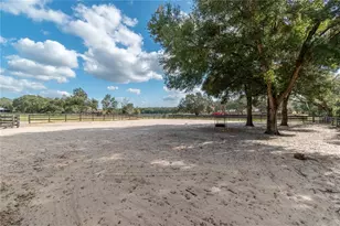 2902 Marion County Rd, Weirsdale, FL 32195 - Photo 69